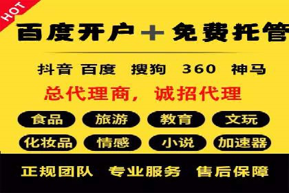 知名SEM代运营公司案例解析
